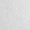 Bianco neve (goffrato)