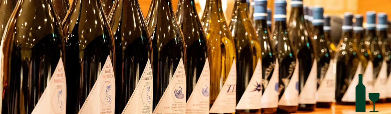 Vino