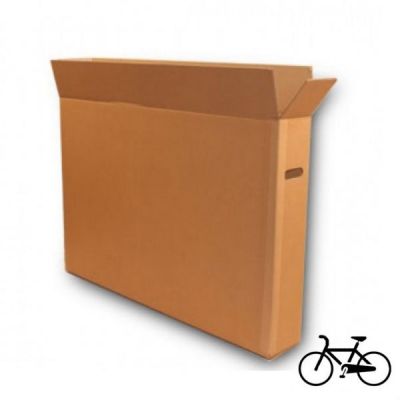 Trasporto Bici