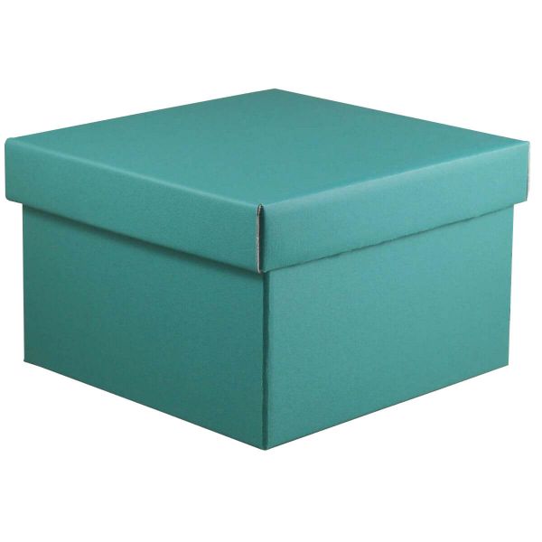 Pratico portabottiglie con coperchio scatola per dolci scatole per alimenti  di lunga durata per pasticceria contenitore per Dessert contenitore per il  trasporto - AliExpress