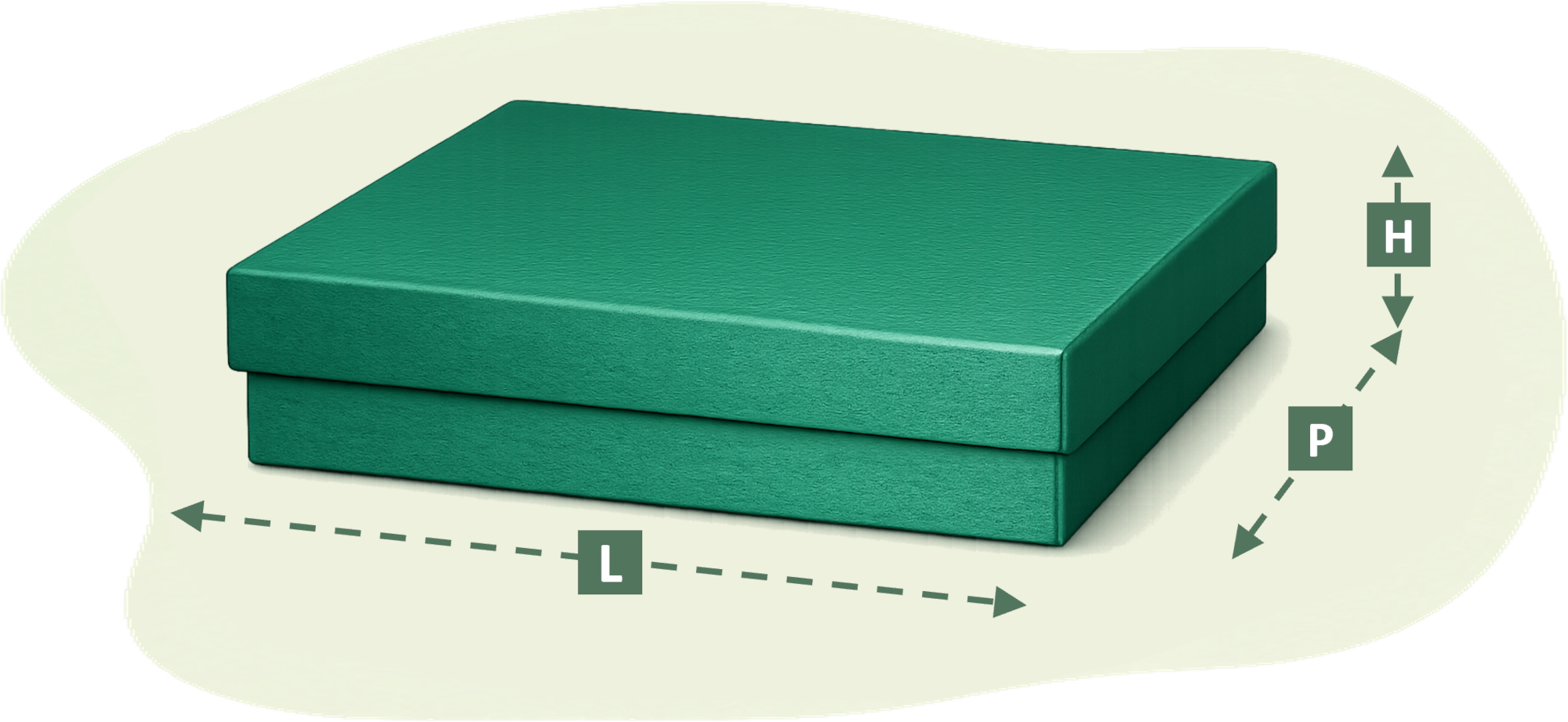 BoxScan